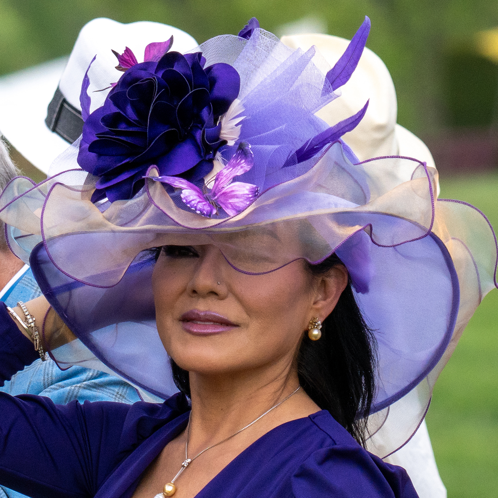 The Virginia Gold Cup
